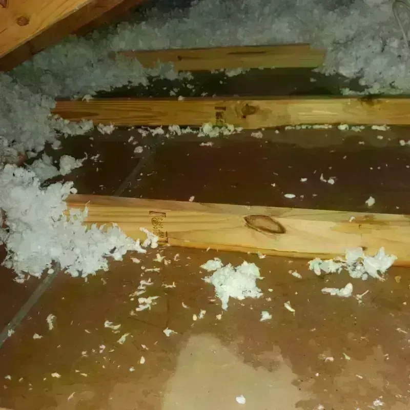 Attic Water Damage in Alief, TX