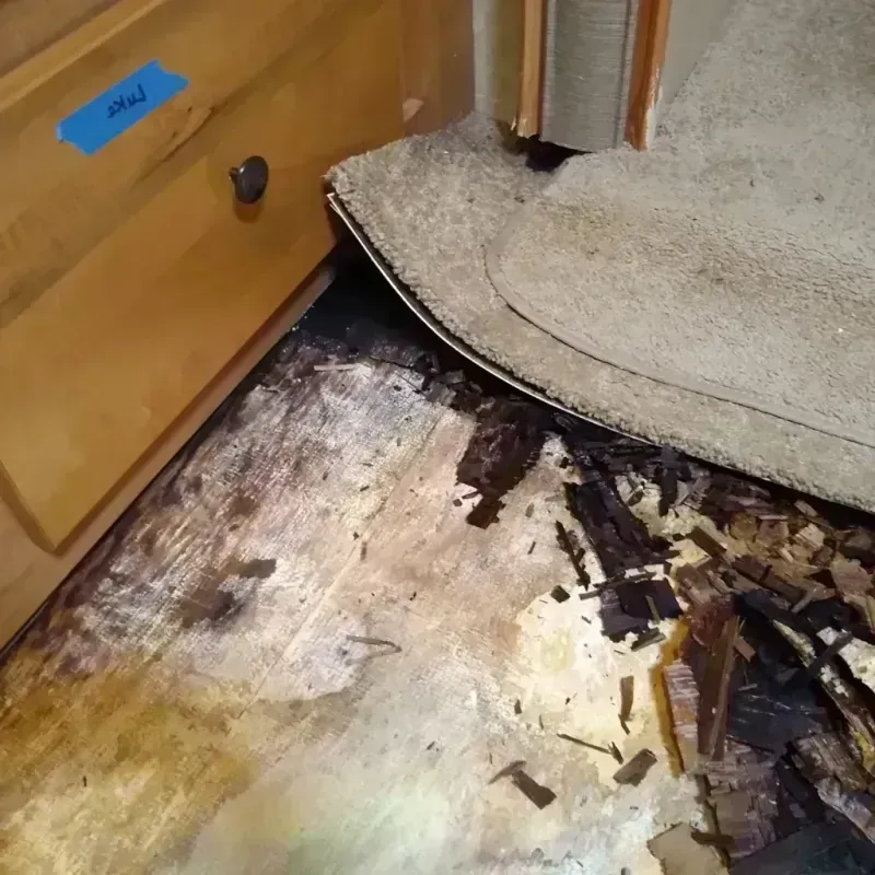 Wood Floor Water Damage in Alief, TX